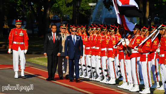 اليوم السابع -9 -2015